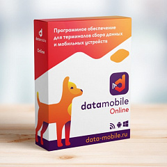 DataMobile, версия Online в Рязани