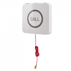 Кнопка вызова iBells 310S влагозащищенная со шнуром для МГН в Рязани